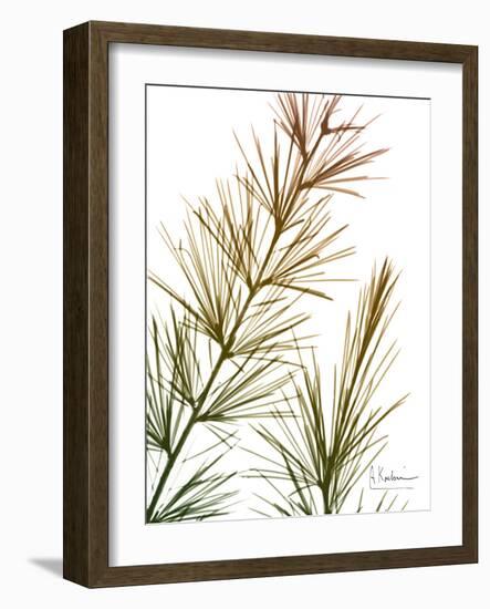 Autumn Sequoia-Albert Koetsier-Framed Photo