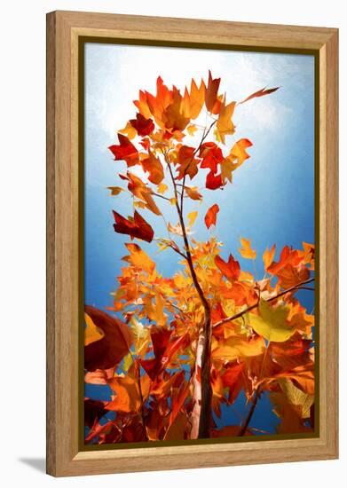 Autumn Serenade-Philippe Sainte-Laudy-Framed Premier Image Canvas