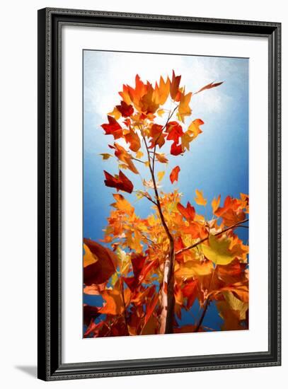 Autumn Serenade-Philippe Sainte-Laudy-Framed Photographic Print