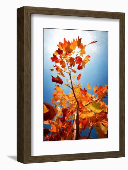 Autumn Serenade-Philippe Sainte-Laudy-Framed Photographic Print