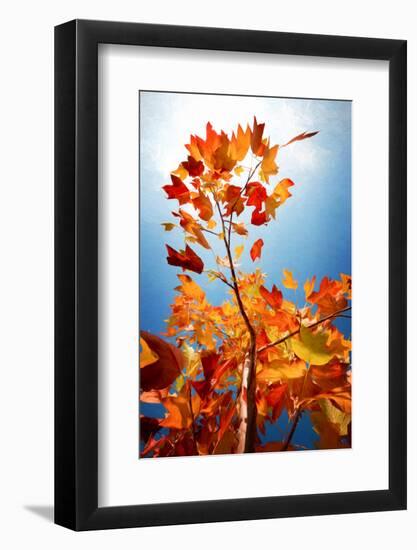 Autumn Serenade-Philippe Sainte-Laudy-Framed Photographic Print