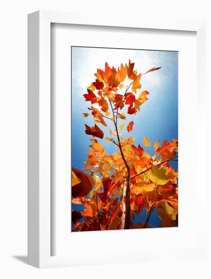 Autumn Serenade-Philippe Sainte-Laudy-Framed Photographic Print