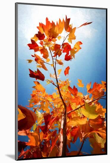 Autumn Serenade-Philippe Sainte-Laudy-Mounted Photographic Print