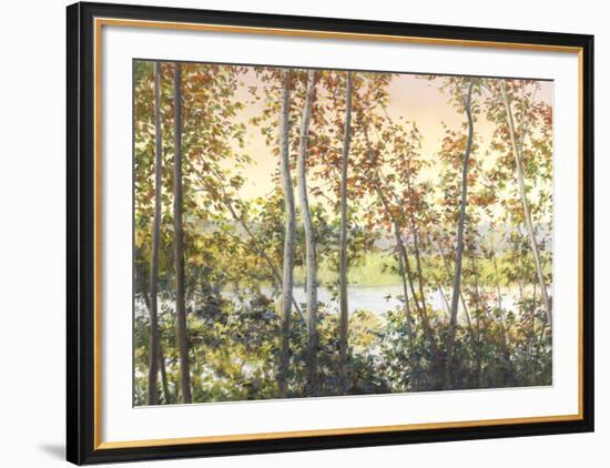 Autumn Shady-Elissa Gore-Framed Art Print