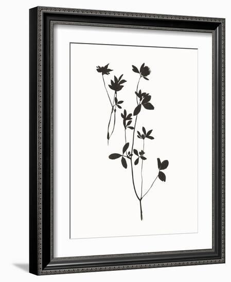 Autumn Silhouette-Maria Mendez-Framed Giclee Print