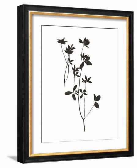 Autumn Silhouette-Maria Mendez-Framed Giclee Print