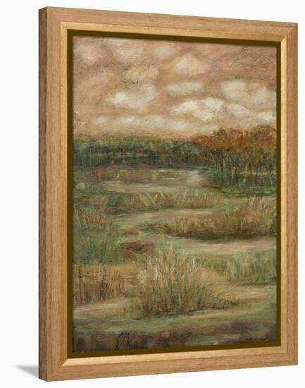 Autumn Sky I-Beverly Crawford-Framed Stretched Canvas