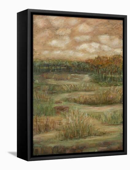 Autumn Sky I-Beverly Crawford-Framed Stretched Canvas