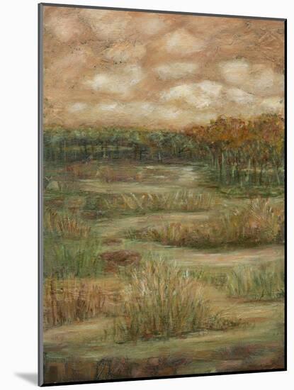 Autumn Sky I-Beverly Crawford-Mounted Art Print