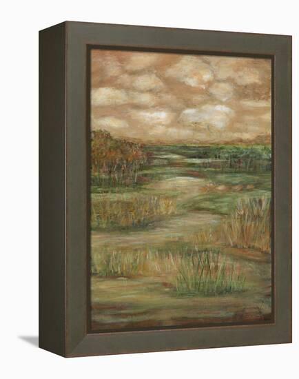 Autumn Sky II-Beverly Crawford-Framed Stretched Canvas