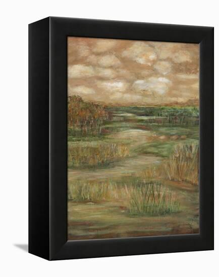 Autumn Sky II-Beverly Crawford-Framed Stretched Canvas