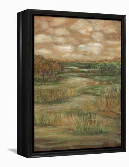 Autumn Sky II-Beverly Crawford-Framed Stretched Canvas