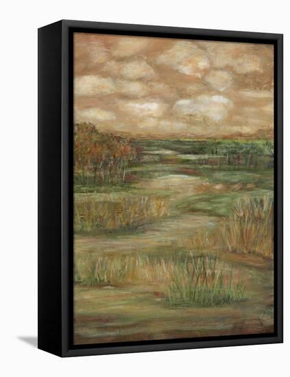 Autumn Sky II-Beverly Crawford-Framed Stretched Canvas