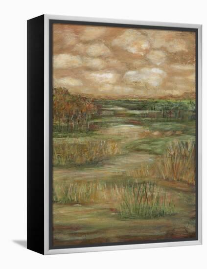 Autumn Sky II-Beverly Crawford-Framed Stretched Canvas