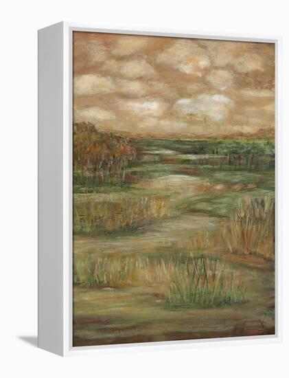 Autumn Sky II-Beverly Crawford-Framed Stretched Canvas