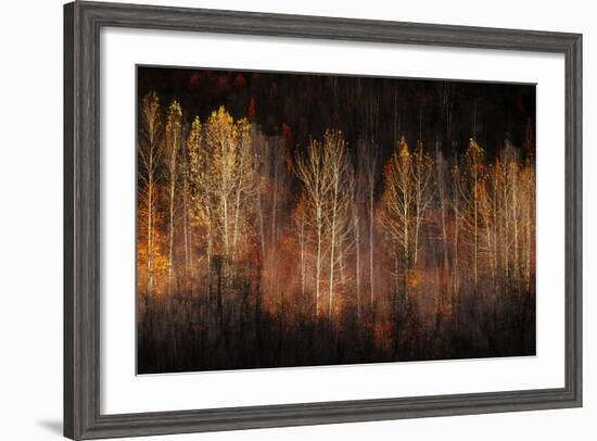 Autumn Soul-Ursula Abresch-Framed Photographic Print