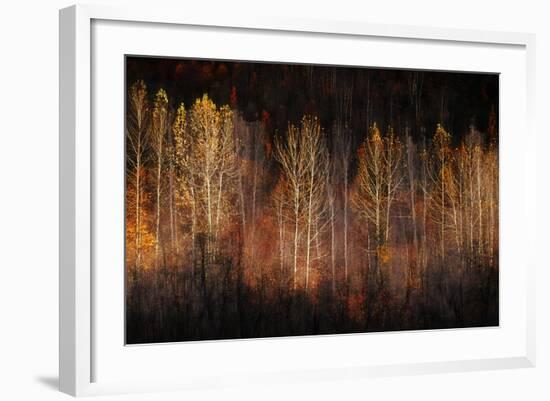 Autumn Soul-Ursula Abresch-Framed Photographic Print