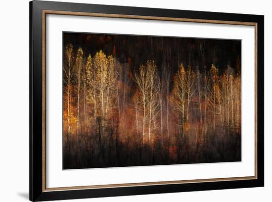 Autumn Soul-Ursula Abresch-Framed Photographic Print