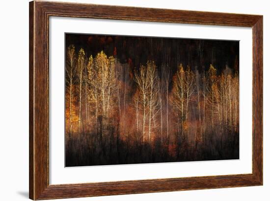 Autumn Soul-Ursula Abresch-Framed Photographic Print