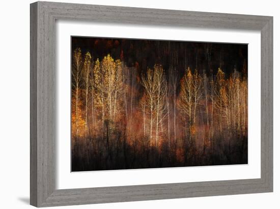 Autumn Soul-Ursula Abresch-Framed Photographic Print