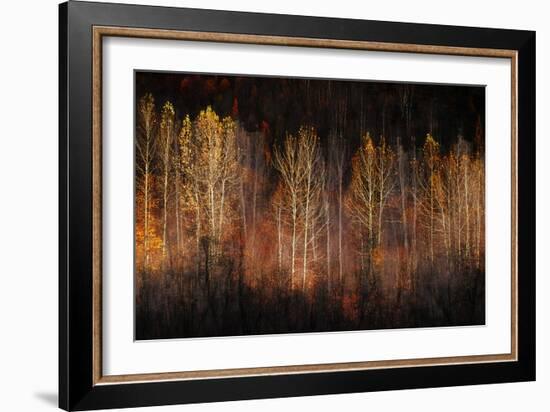 Autumn Soul-Ursula Abresch-Framed Photographic Print