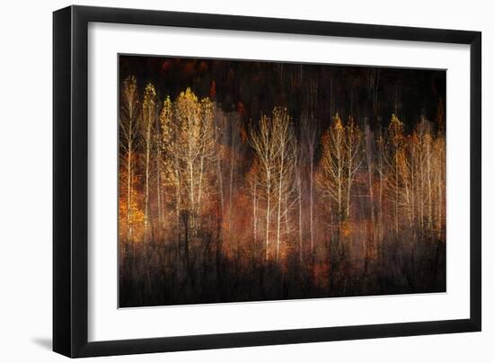 Autumn Soul-Ursula Abresch-Framed Photographic Print