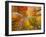 Autumn Spendour-Michael Hudson-Framed Art Print