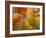 Autumn Spendour-Michael Hudson-Framed Art Print