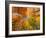 Autumn Spendour-Michael Hudson-Framed Art Print