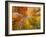 Autumn Spendour-Michael Hudson-Framed Art Print