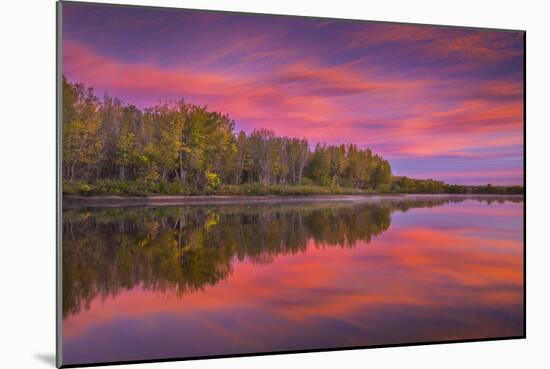 Autumn Splendor-Darren White Photography-Mounted Photographic Print