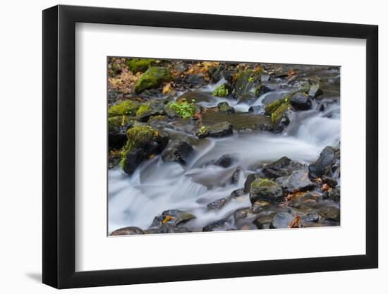 Autumn, Starvation Creek State Park, Columbia Gorge, Oregon, Usa-Michel Hersen-Framed Photographic Print