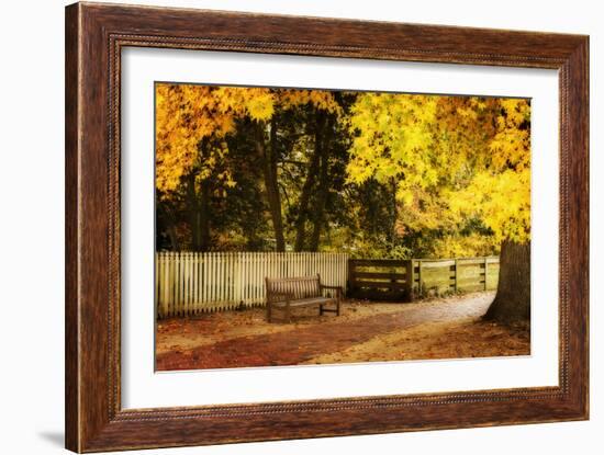 Autumn Stillness I-Alan Hausenflock-Framed Photographic Print