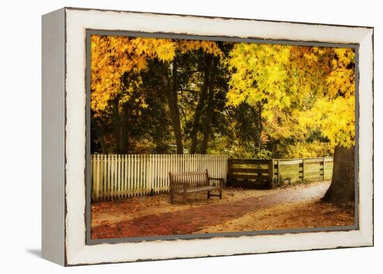 Autumn Stillness I-Alan Hausenflock-Framed Premier Image Canvas