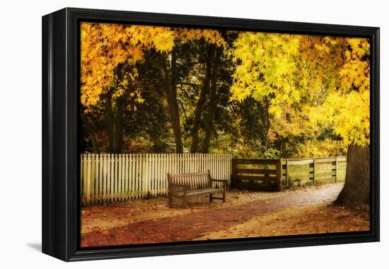 Autumn Stillness I-Alan Hausenflock-Framed Premier Image Canvas