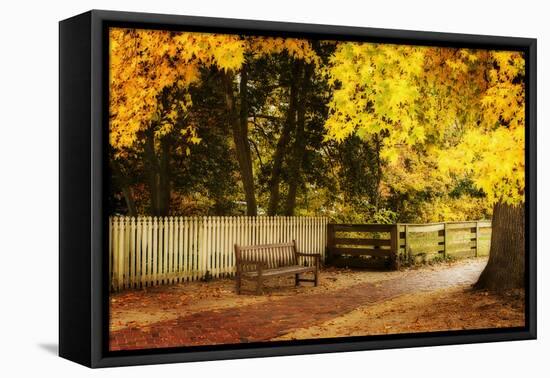 Autumn Stillness I-Alan Hausenflock-Framed Premier Image Canvas