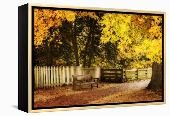 Autumn Stillness I-Alan Hausenflock-Framed Premier Image Canvas