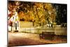 Autumn Stillness II-Alan Hausenflock-Mounted Photographic Print
