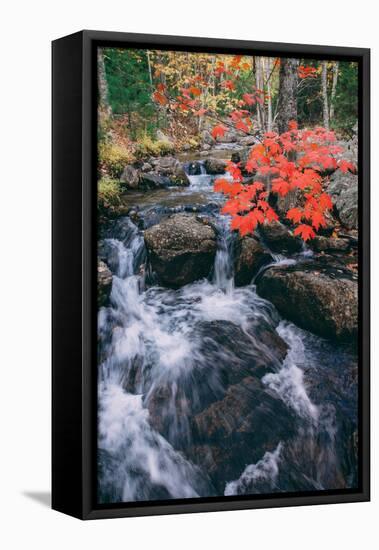 Autumn Stream at Acadia National Park, Maine-Vincent James-Framed Premier Image Canvas