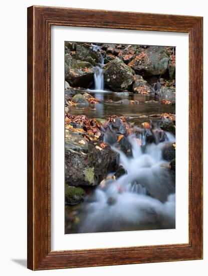 Autumn Stream in the White Mountains, New Hampshire-null-Framed Photographic Print