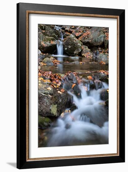 Autumn Stream in the White Mountains, New Hampshire-null-Framed Photographic Print