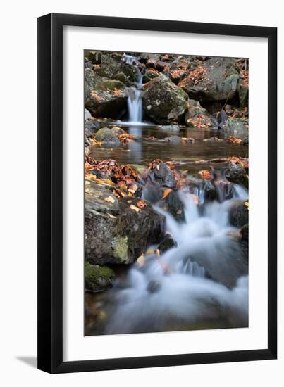 Autumn Stream in the White Mountains, New Hampshire-null-Framed Photographic Print