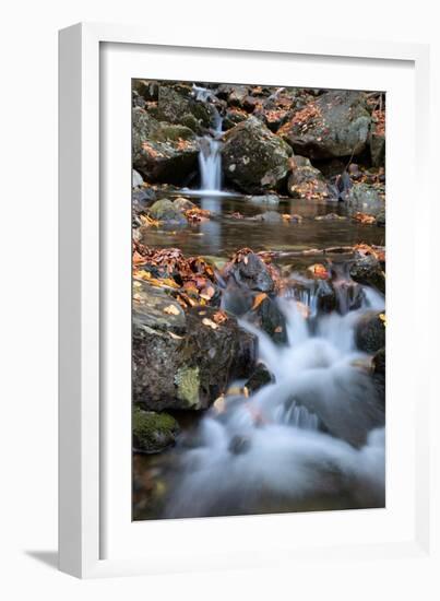 Autumn Stream in the White Mountains, New Hampshire-null-Framed Photographic Print