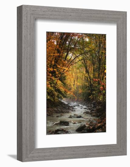 Autumn Stream of Dreams, Deep Vermont in Fall, Outside Burlington-Vincent James-Framed Photographic Print