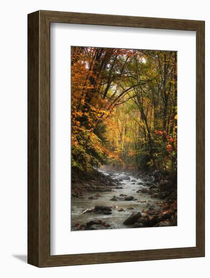 Autumn Stream of Dreams, Deep Vermont in Fall, Outside Burlington-Vincent James-Framed Photographic Print