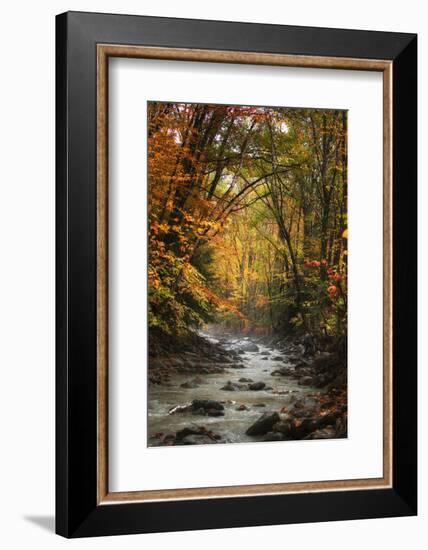 Autumn Stream of Dreams, Deep Vermont in Fall, Outside Burlington-Vincent James-Framed Photographic Print