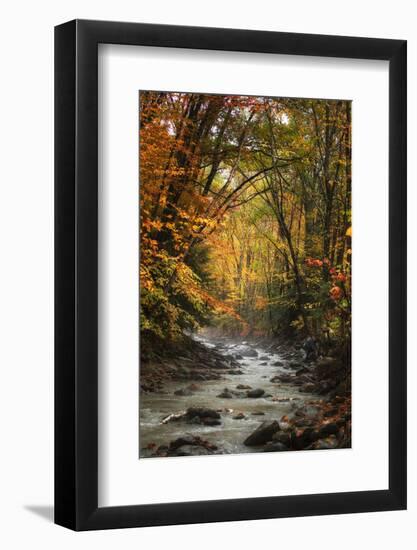 Autumn Stream of Dreams, Deep Vermont in Fall, Outside Burlington-Vincent James-Framed Photographic Print