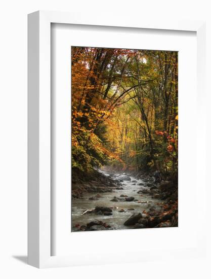 Autumn Stream of Dreams, Deep Vermont in Fall, Outside Burlington-Vincent James-Framed Photographic Print