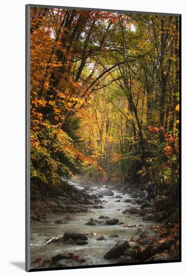 Autumn Stream of Dreams, Deep Vermont in Fall, Outside Burlington-Vincent James-Mounted Photographic Print