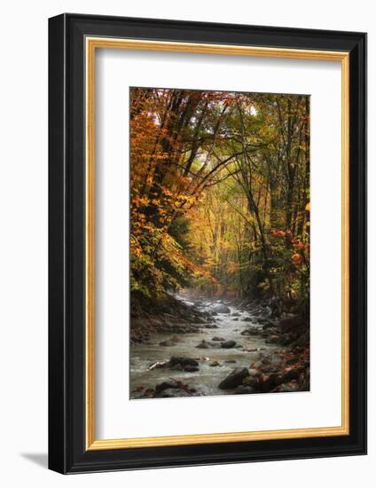 Autumn Stream of Dreams, Deep Vermont in Fall, Outside Burlington-Vincent James-Framed Photographic Print